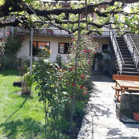 Apartment Dejan Cetinje Exterior foto
